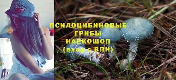 гидра Аркадак