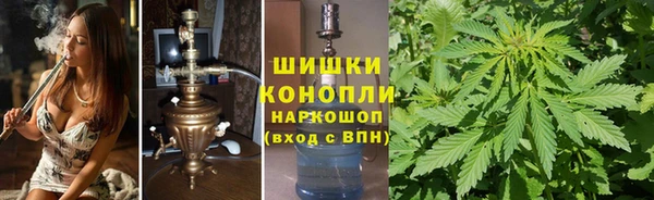 трава Арсеньев